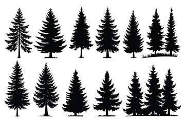 Evergreen forest tree vector collection &ndash; isolated pine and fir tree shapes