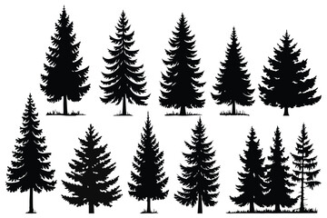 Obraz premium Evergreen forest tree vector collection – isolated pine and fir tree shapes
