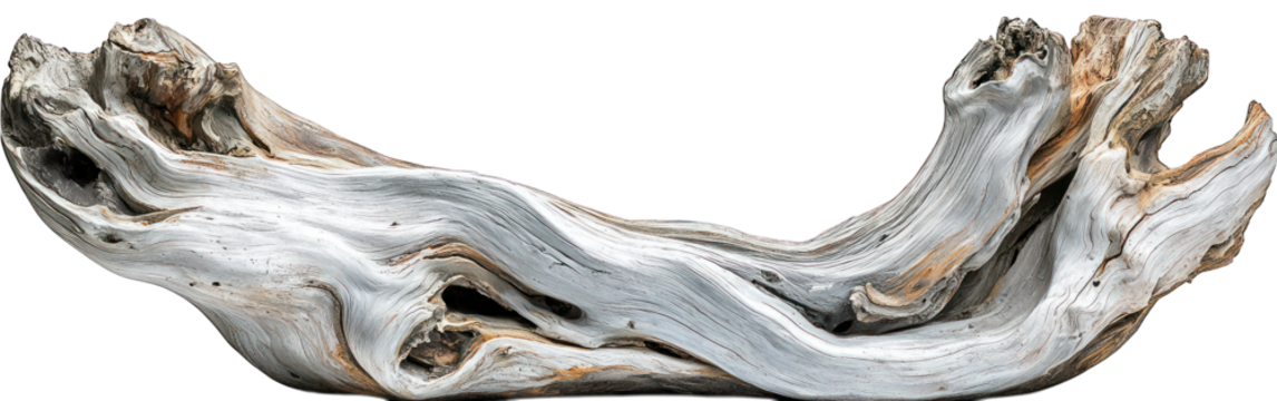 Sculpted driftwood, pale grey