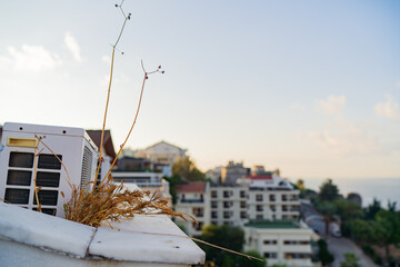 Urban Rooftop Scene with Air Vent and Dry Plant