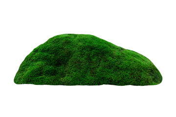green stone, stone with moss isolated on white background © Svitlana