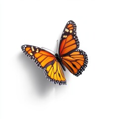 Fototapeta premium Hyper realistic 3d render Monarch Butterfly: Stunning Wings, Detailed Closeup AI Generative isolated background