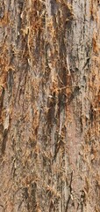 old wood texture