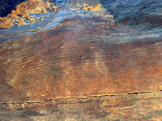 Brown wooden tree trunk background.