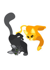 cats laying