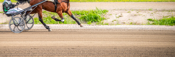 Equestrian sport. Horizontal photo banner. Copy space for your text. Horses compete in harness...