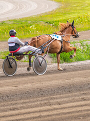 Equestrian sport. Vertical photo banner. Copy space for your text. Horses compete in harness racing