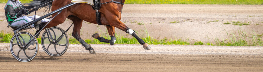 Equestrian sport. Horizontal photo banner. Copy space for your text. Horses compete in harness...