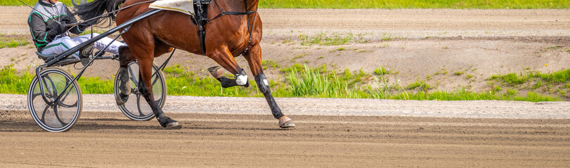 Equestrian sport. Horizontal photo banner. Copy space for your text. Horses compete in harness...