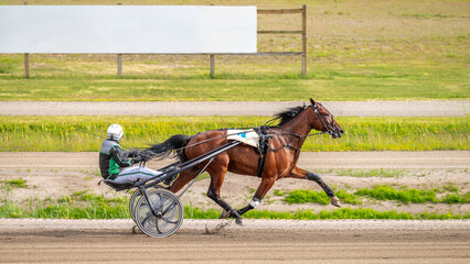 During a horse race, a rider decided to carefully study the content of the advertising posters...