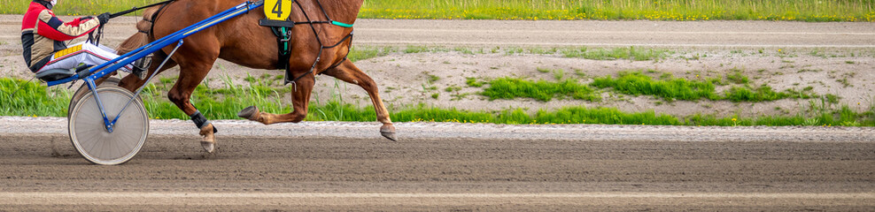 Equestrian sport. Horizontal photo banner. Copy space for your text. Horses compete in harness...