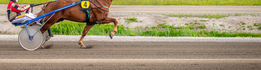 Equestrian sport. Horizontal photo banner. Copy space for your text. Horses compete in harness...