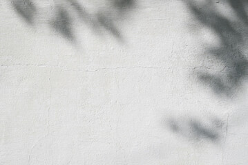 Abstract background. Soft blurred shadows from leaves on a slightly cracked textured wall....