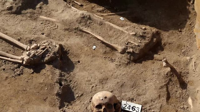 Medieval cemetery at the ruins of the monastery in Peternmonostora near Bugac