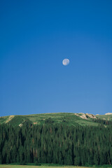 Mountain Forest and Moon under Blue Sky