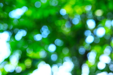 緑と青の光をぼかした背景素材