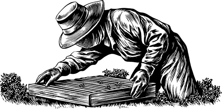 recommend clip art: Beekeeper inspecting honeycomb frame in vintage black silhouette