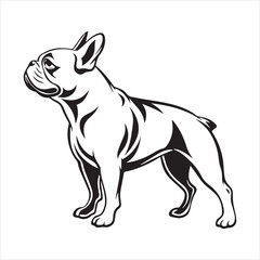 Obraz premium French bulldog vector illustration