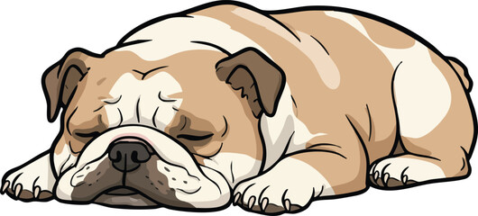 Bulldog sleeping peacefully lying down calm resting dog breed illustration in natural pose vector art 