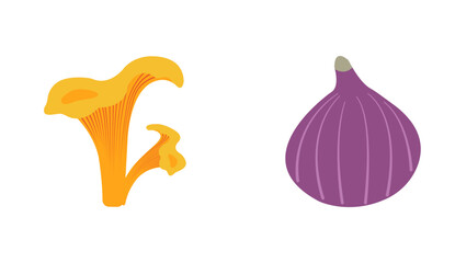 Autumn themed flat vector pack: fig, mushroom for creative designs. Hand drawn set for banners, cards, social media
