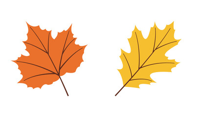 Autumn nature flat vectors: maple leaf, yellow leaf for seasonal projects. Hand drawn set for banners, cards, social media