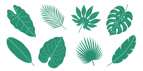 Vector illustration of various tropical green leaves in flat design. For botanical, summer, vacation, holiday, nature, and eco-themed projects. White isolated background.