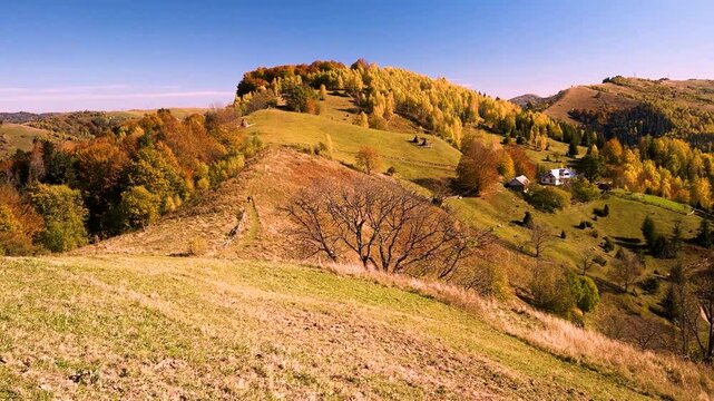 Ukraine, drone, flight in the Carpathians early in the autumn morning at sunrise near the city of Kosiv. Bright forests and dwellings of the Hutsul highlanders on the glades