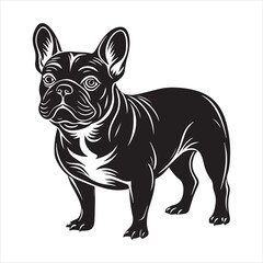 Obraz premium French bulldog vector illustration