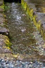 鎌倉2506　海蔵寺15　雨天の風景