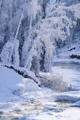 Tranquil Winter Stream Amidst Snowy Landscape