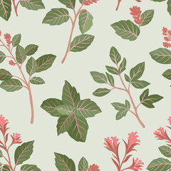 Seamless pattern with oregano leaves, eco vector illustration