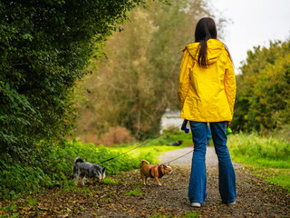 Teenager girl walking small dogs in a park. Making money on pet service and care concept. Hobby and responsibility. Model in yellow jacket and blue jeans. Selective focus