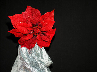 Glamor red flower on stand wrapped in silver cloth with glitter. Dark background. Minimalistic still life. Copy space