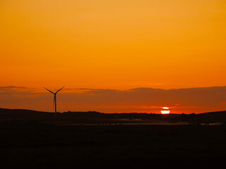 Renewable wind turbines in a vast field at warm orange sunrise. Alternative sustainable source of...