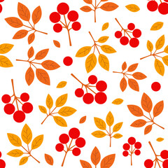 Colorful autumn leaves and berries pattern on a white background for seasonal design projects