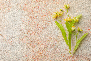 Linden branches with flowers and green leaves on color textured table, flat lay. Space for text