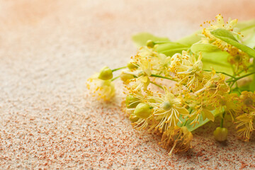 Beautiful linden flowers and green leaves on color textured table, closeup. Space for text
