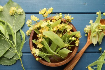 Branches with linden flowers, green leaves, bowl and spoon on blue wooden table, flat lay