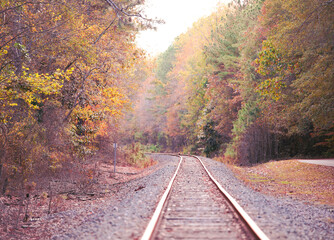 railroad in autumn