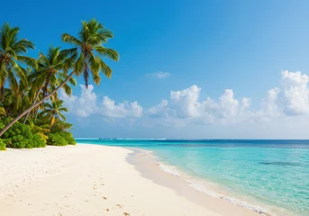 Papier peint photo  Beautiful tropical island with beach, sea and coconut palm tree on blue sky for nature holiday vacation background concept  © OlehStock
