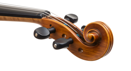 Close-up of a beautifully crafted violin scroll with intricate design, showcasing fine woodwork and tuning pegs against a plain background