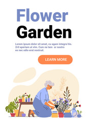 Flower garden elderly woman gardening plants outdoor colorful pots abstract background website banner