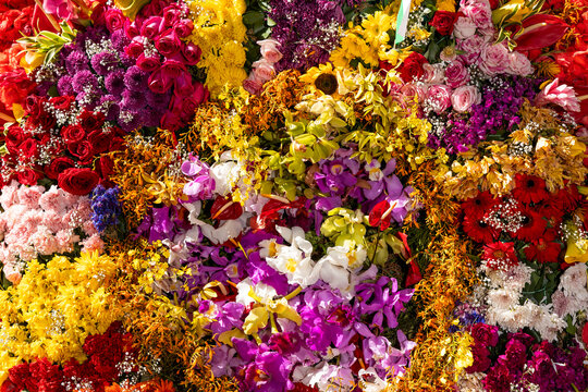 The Flower Fair is Medellin's biggest festival. The silleteros parade through the city with their floral silletas.