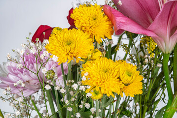 flor, naturaleza, amarilla, huerta, fábrica, verano, ramo, beldad, florecer, primavera, floral,...
