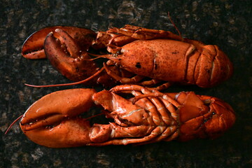 delicious lobster on the background