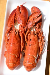 delicious lobster on the background
