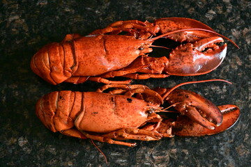 delicious lobster on the background