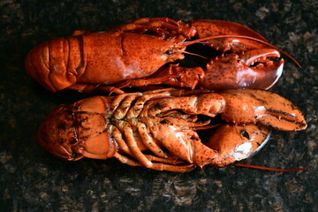 delicious lobster on the background