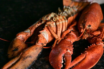 delicious lobster on the background