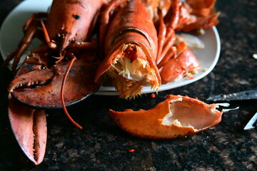 delicious lobster on the background
